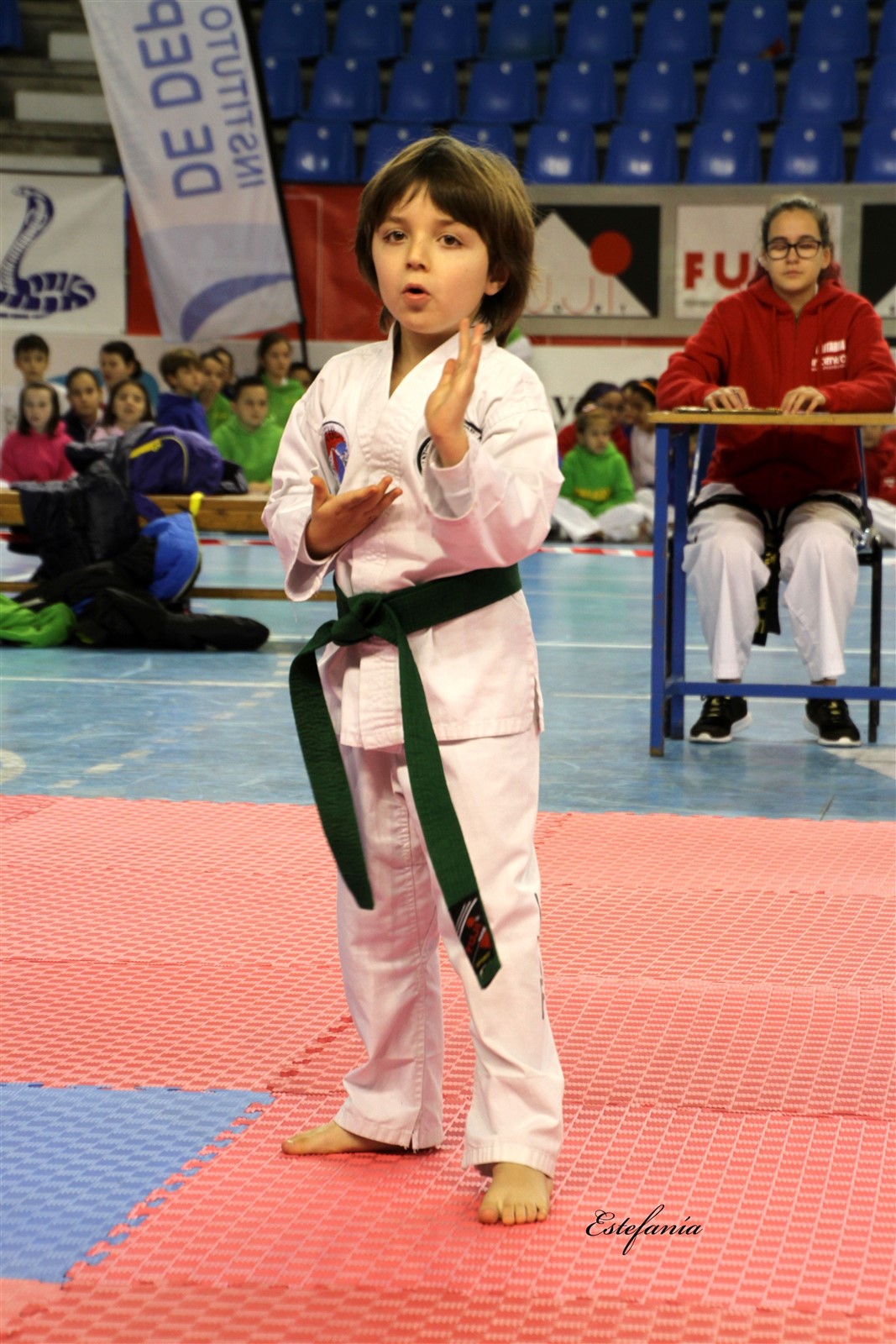 Taekwondo (41).jpg